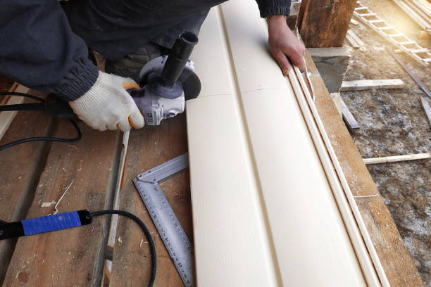 Best Vinyl Siding Installation  in Sibley, IA