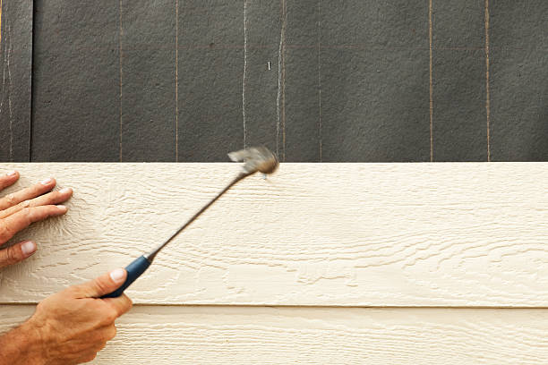 Best Siding Painting and Refinishing  in Sibley, IA