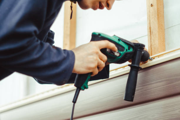 Best Custom Trim and Detailing for Siding  in Sibley, IA